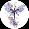 dragonfly_days